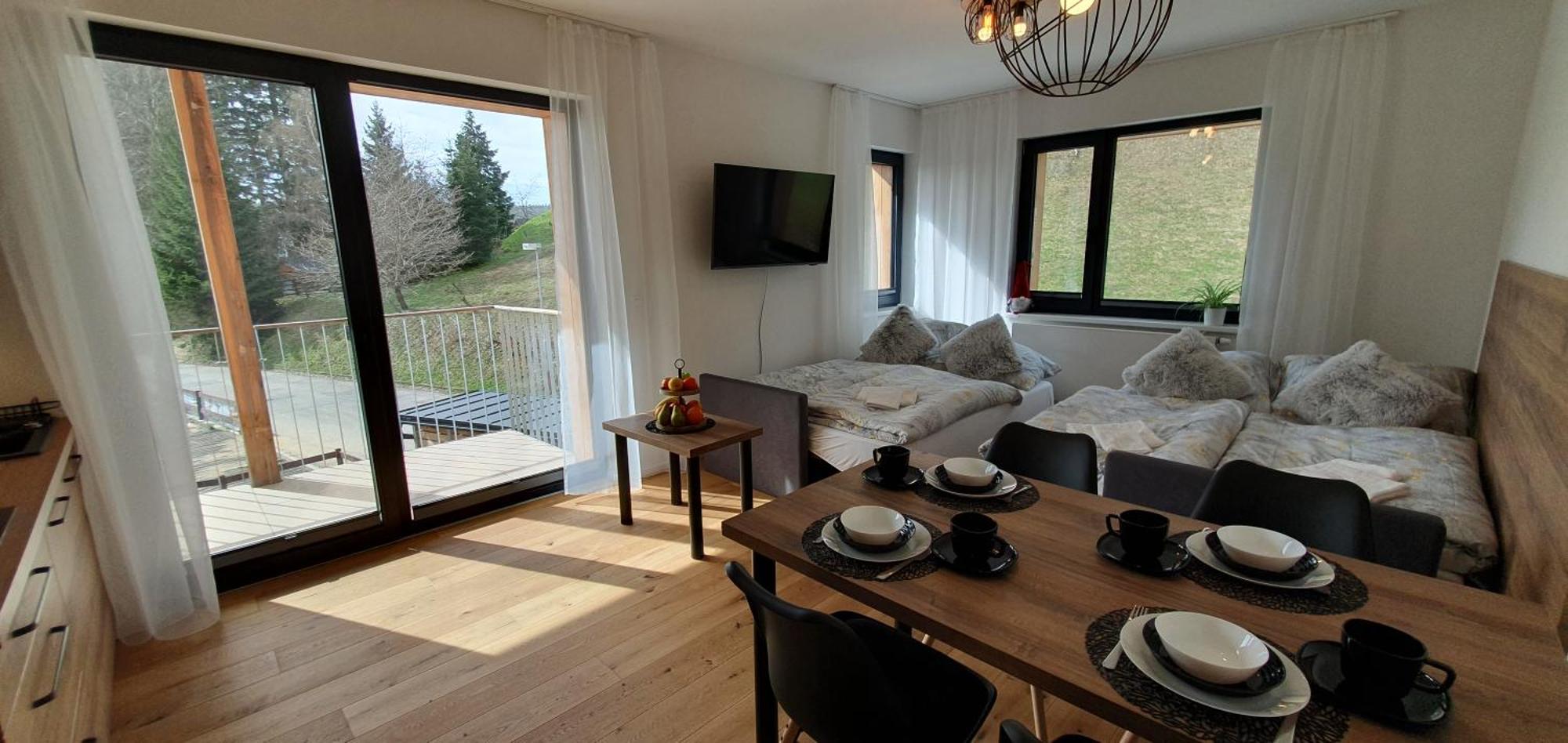 Ski&Bike Apartment Janske Lazne + Parking Buitenkant foto